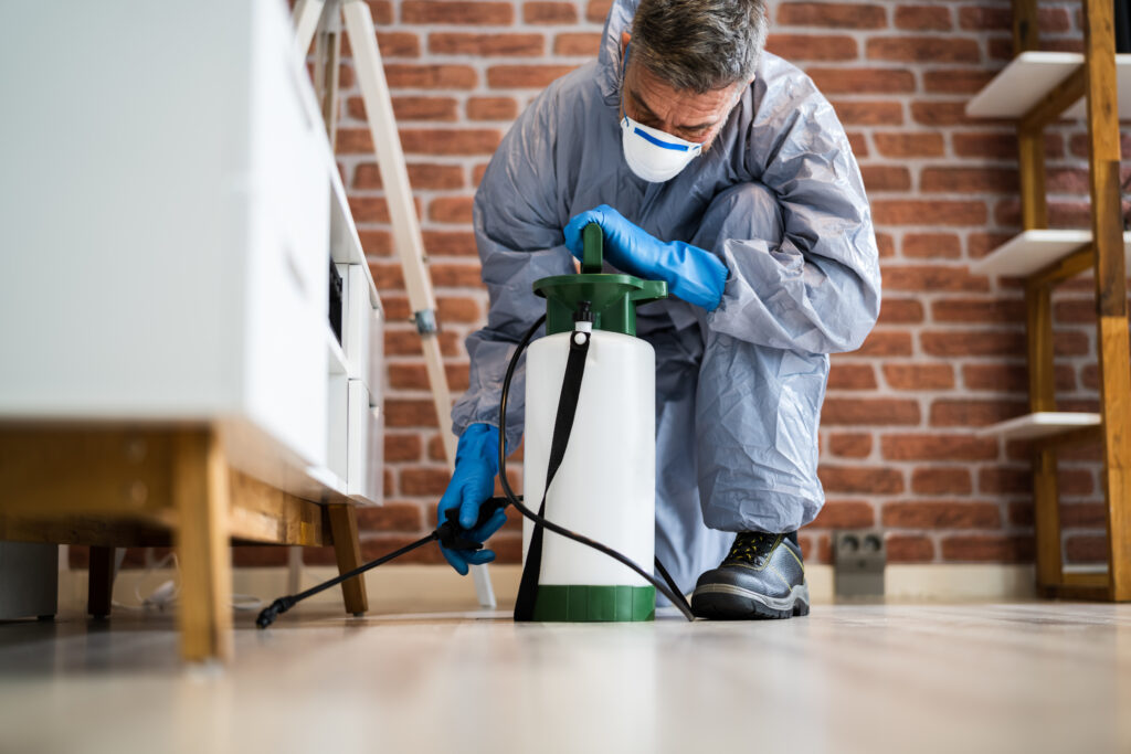 North Olmsted Spider Control