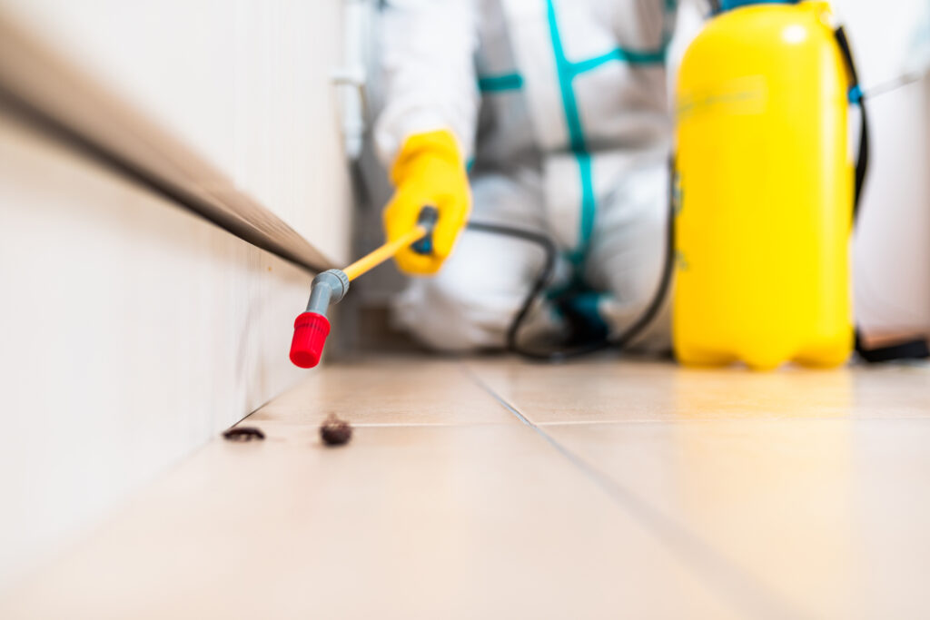 North Olmsted Cockroach Experts