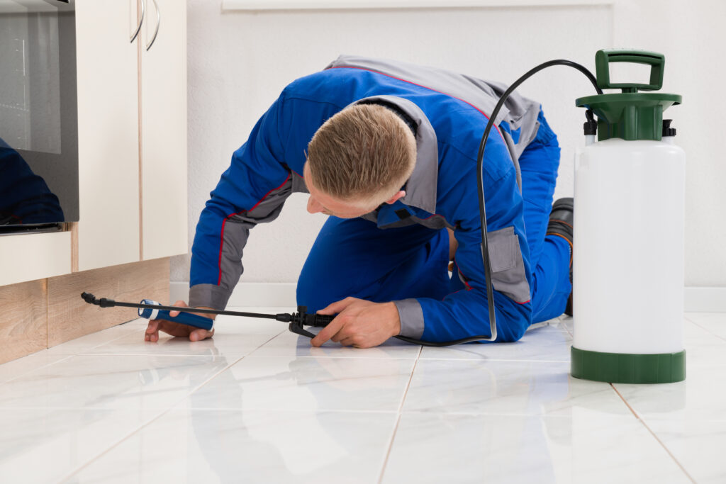 North Olmsted Ant Control Xperts