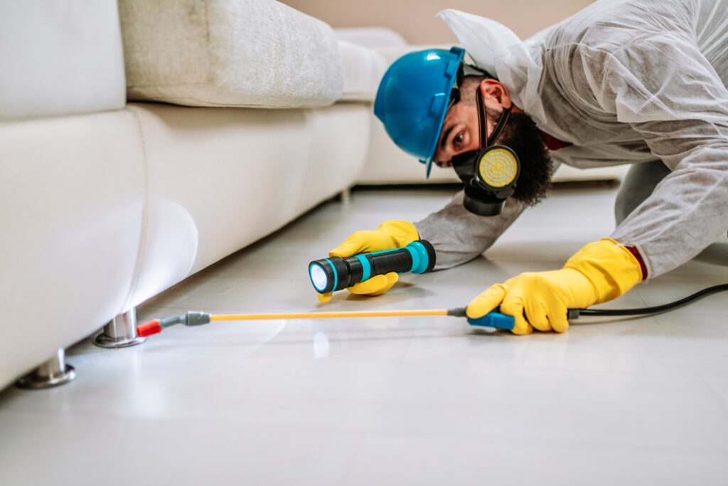 North Olmsted Termite Control